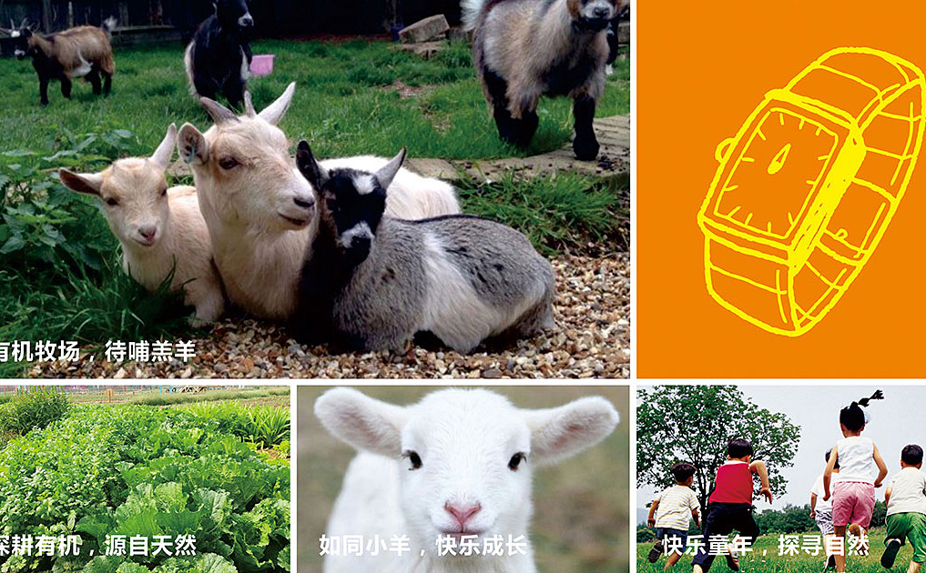 小羊时代-锦上设计案例