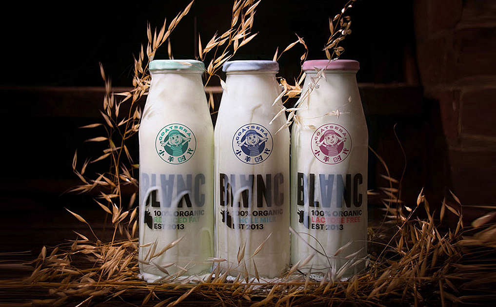 小羊时代-锦上设计案例