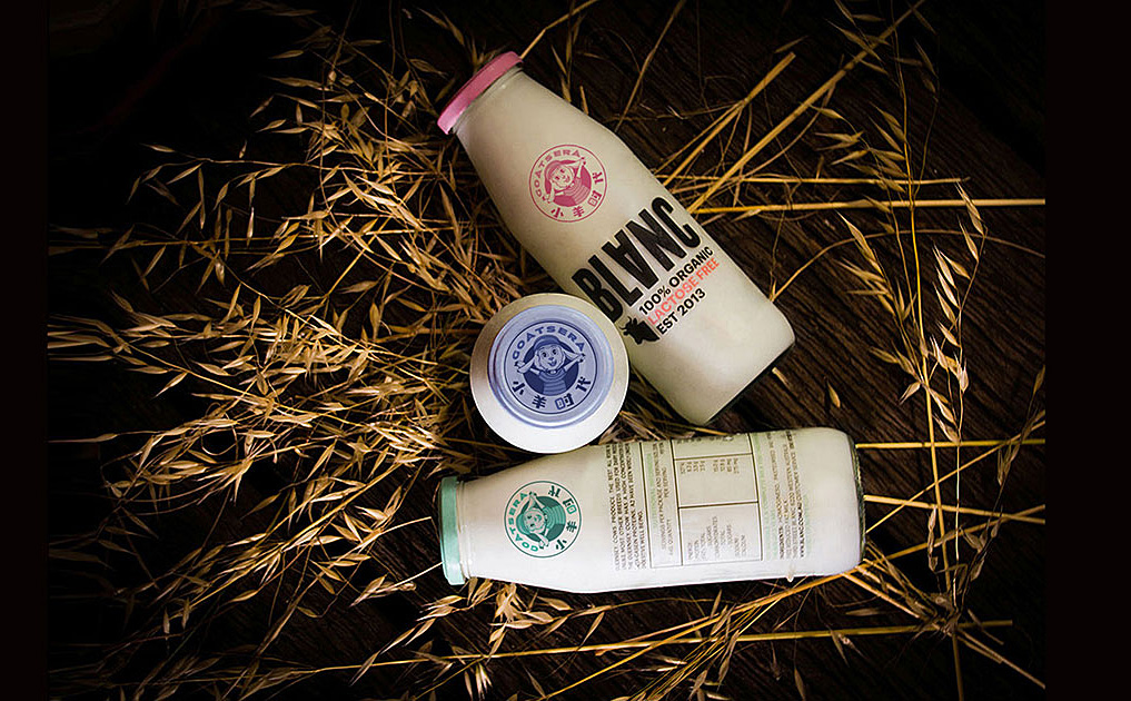 小羊时代-锦上设计案例