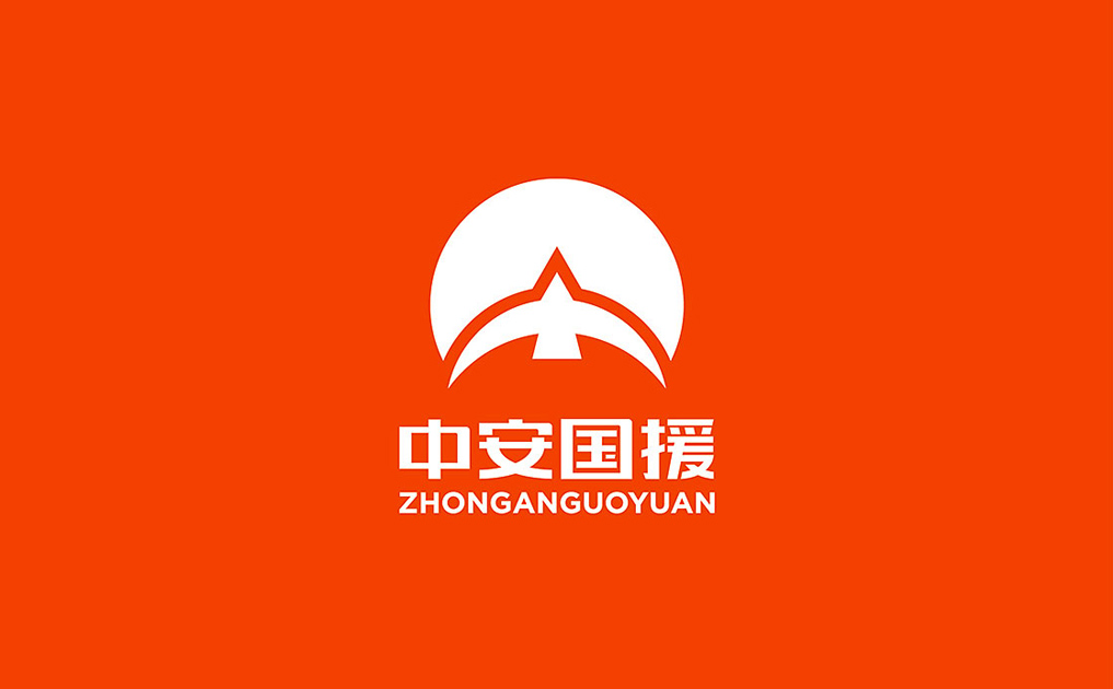 中安国援标志设计-锦上设计案例