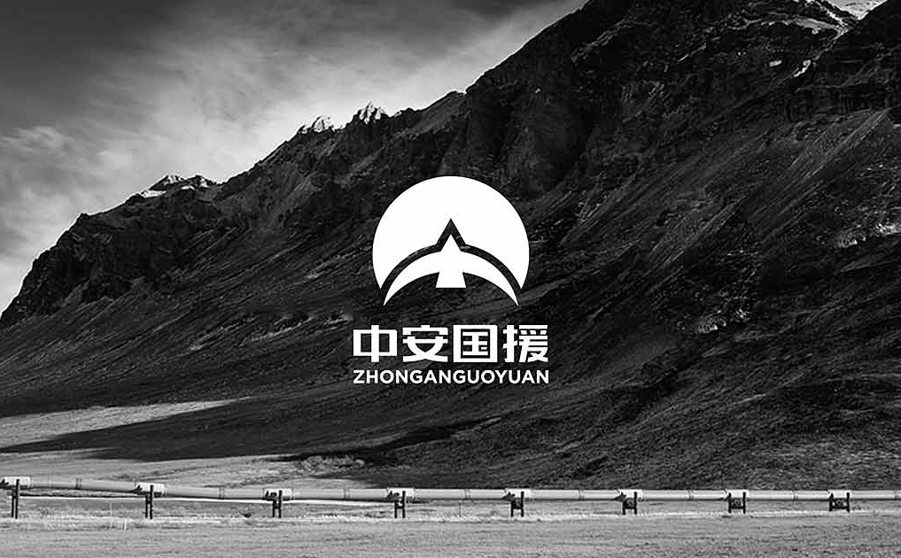 中安国援标志设计-锦上设计案例