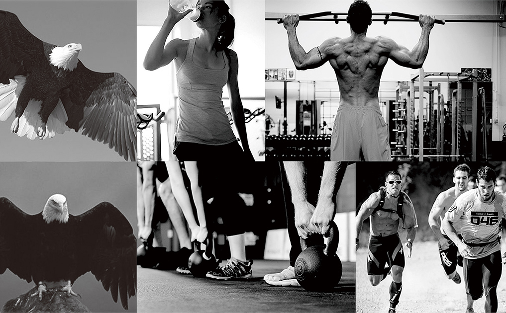 运动健身标志设计-锦上设计案例