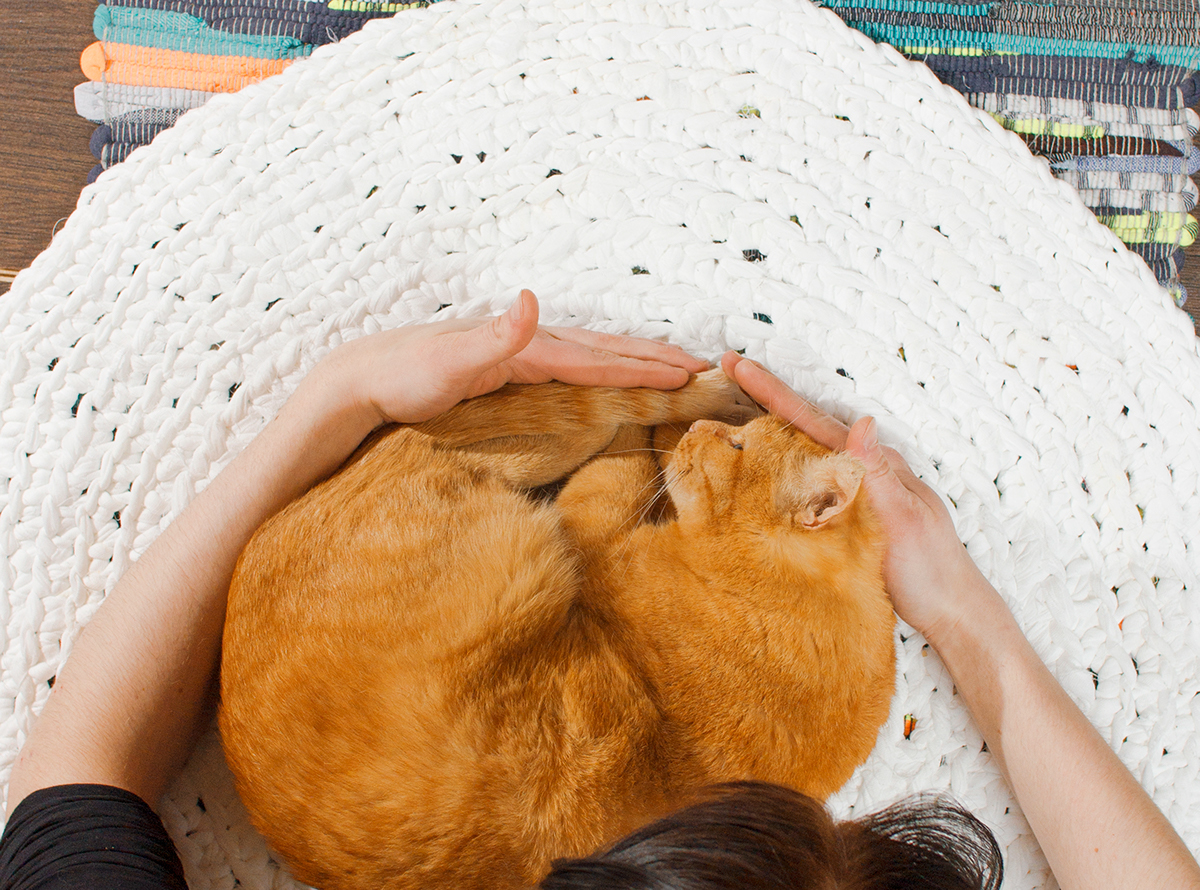 Bright Morning 蛋糕早餐包装-锦上设计分享