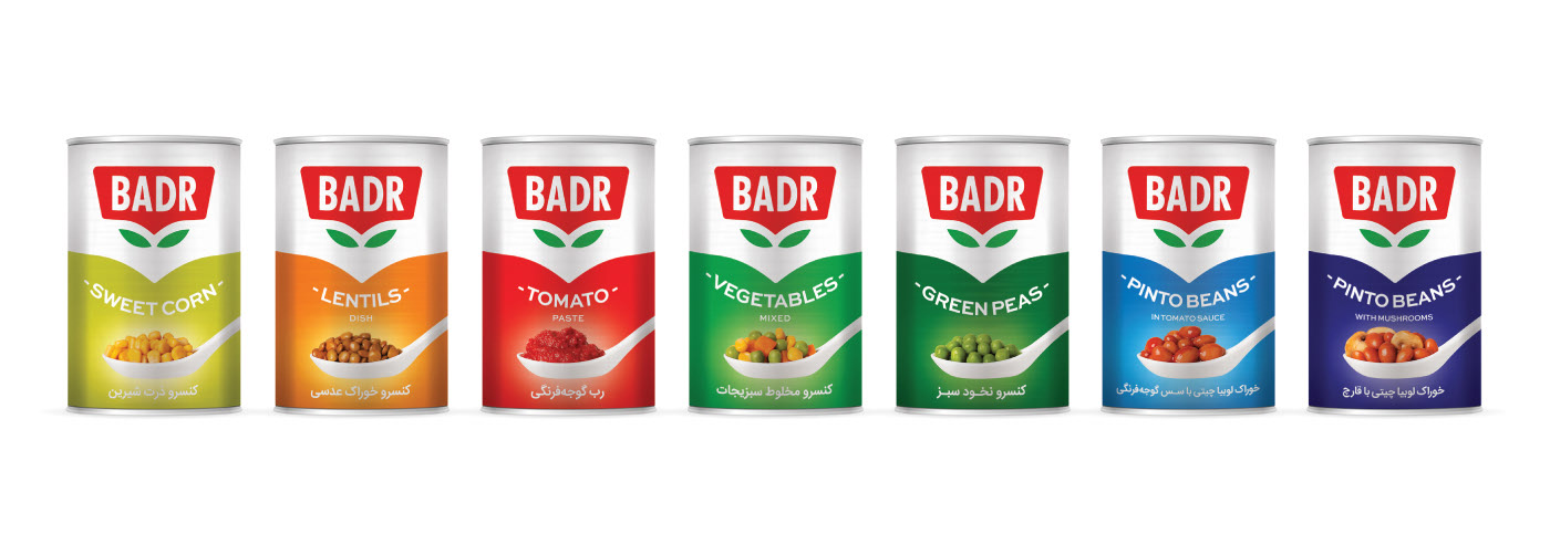 Badr品牌重塑-锦上设计分享