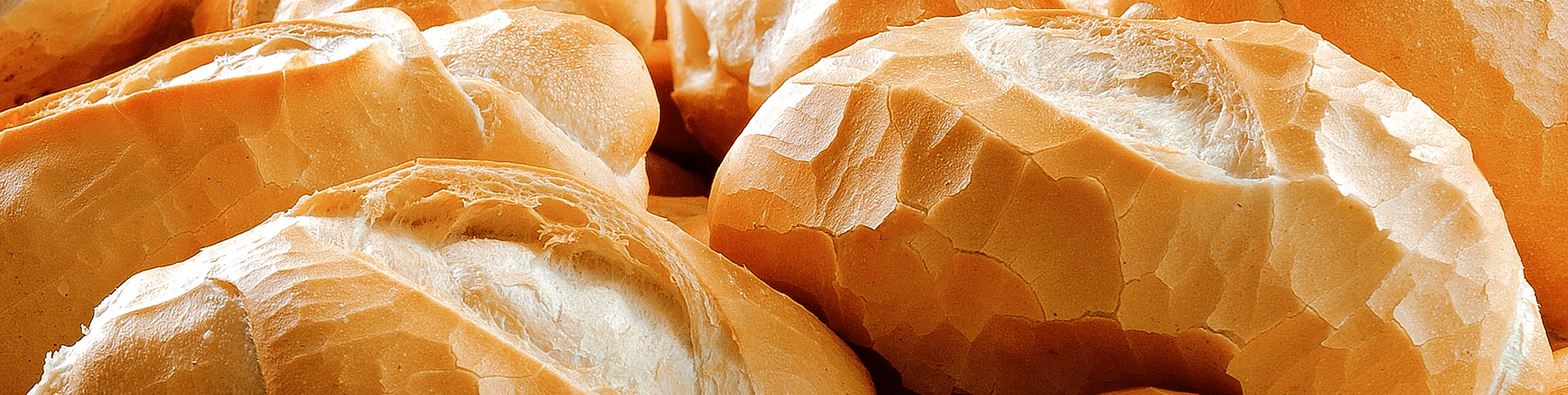  Dejú面包品牌包装